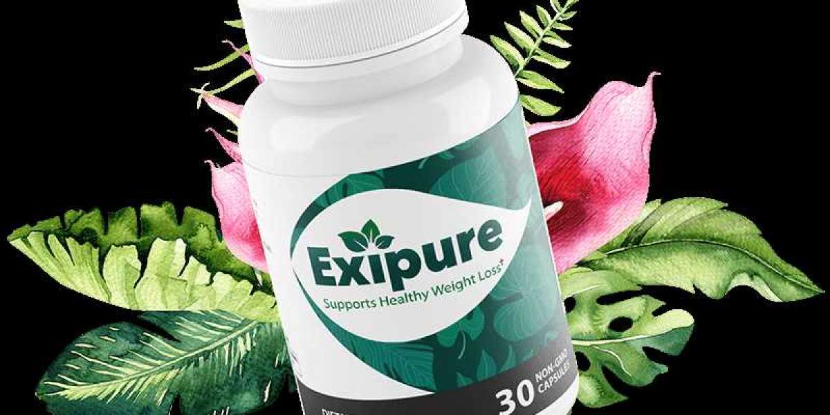 Exipure South Africa Where to Buy in Dischem at Clicks or Reviews