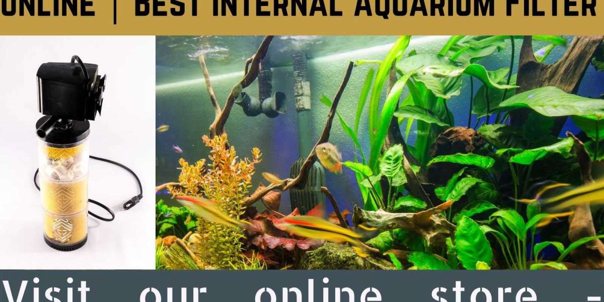 Pick Right Best Internal Aquarium Filter | S2V Marine Life