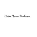 MoisesPizana Hardscapes Profile Picture