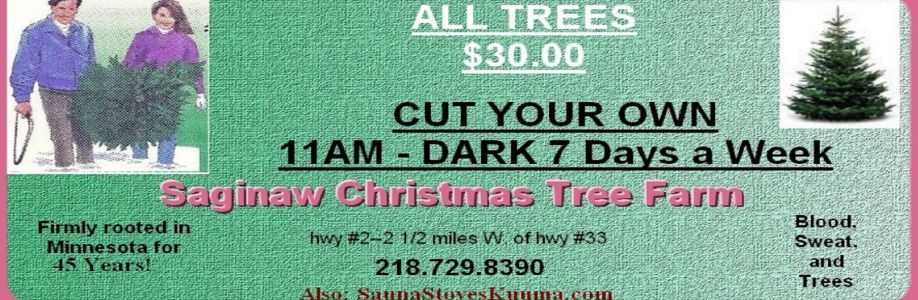 Christmas Tree Duluth.com Cover Image