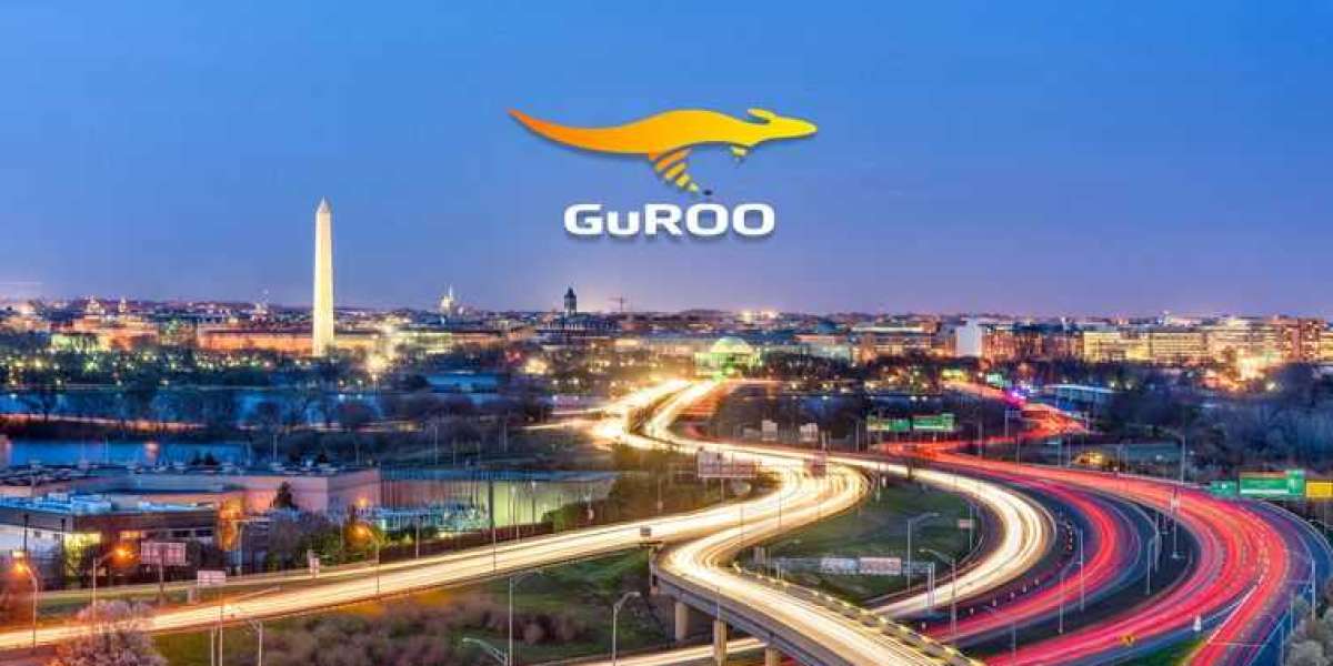 Why You Should Choose GuROO LLC For Project/Program Management Services?