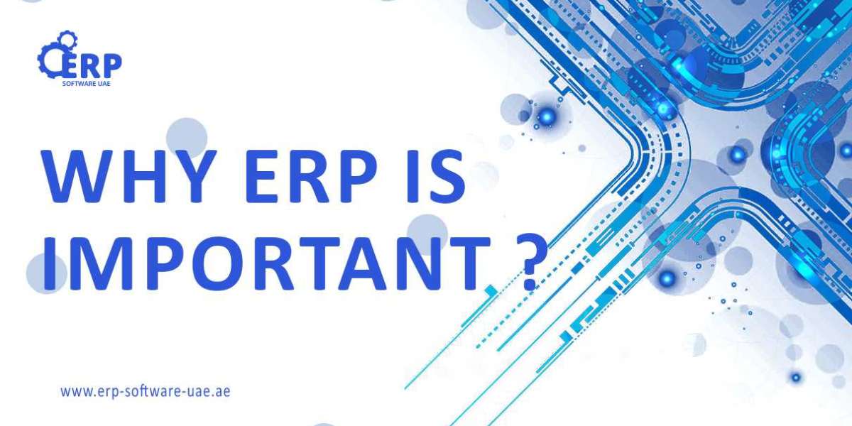 Why ERP is important?
