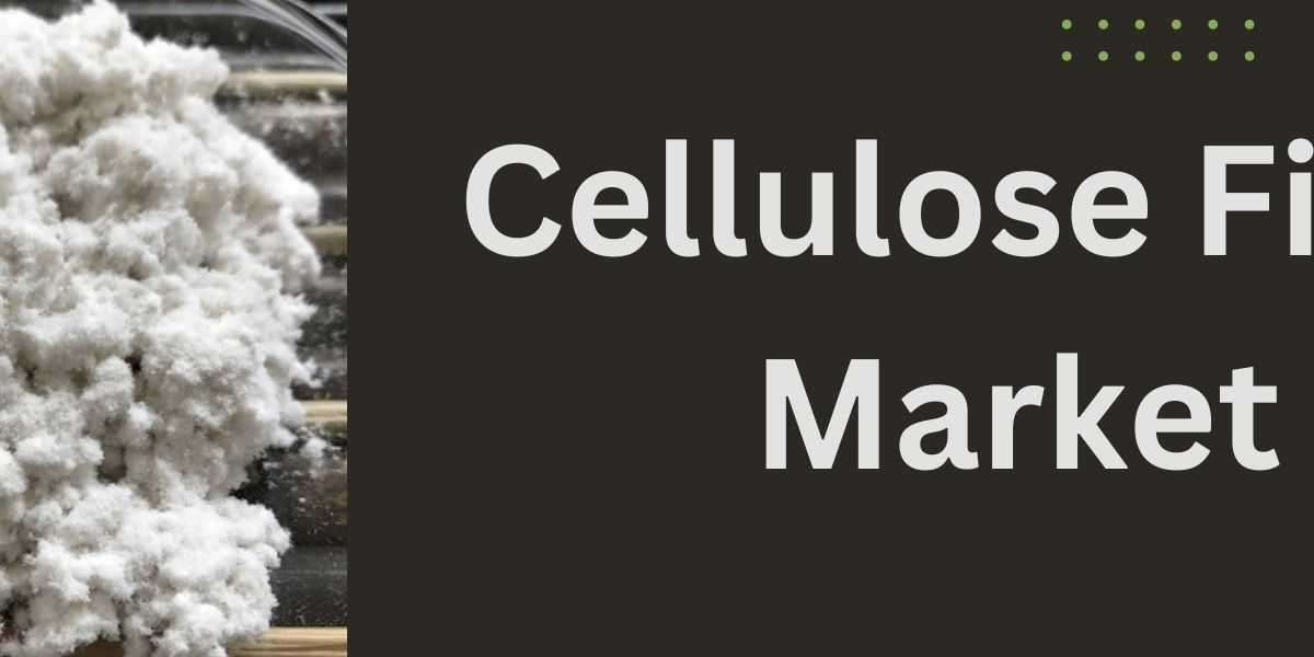 Cellulose Fiber Market: Research on Innovation and Technological Advancements