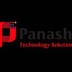 panashi technology solutions Profile Picture