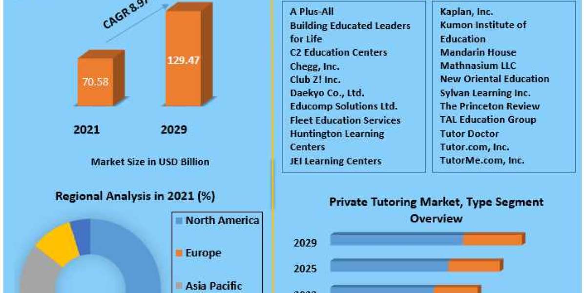Private Tutoring Market Trend Analysis, Industry Size And Development Factors