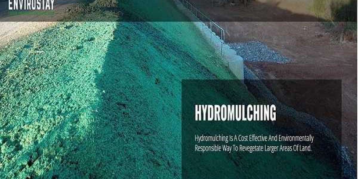 Revolutionizing Landscaping: The Power of Hydro Mulch Grass