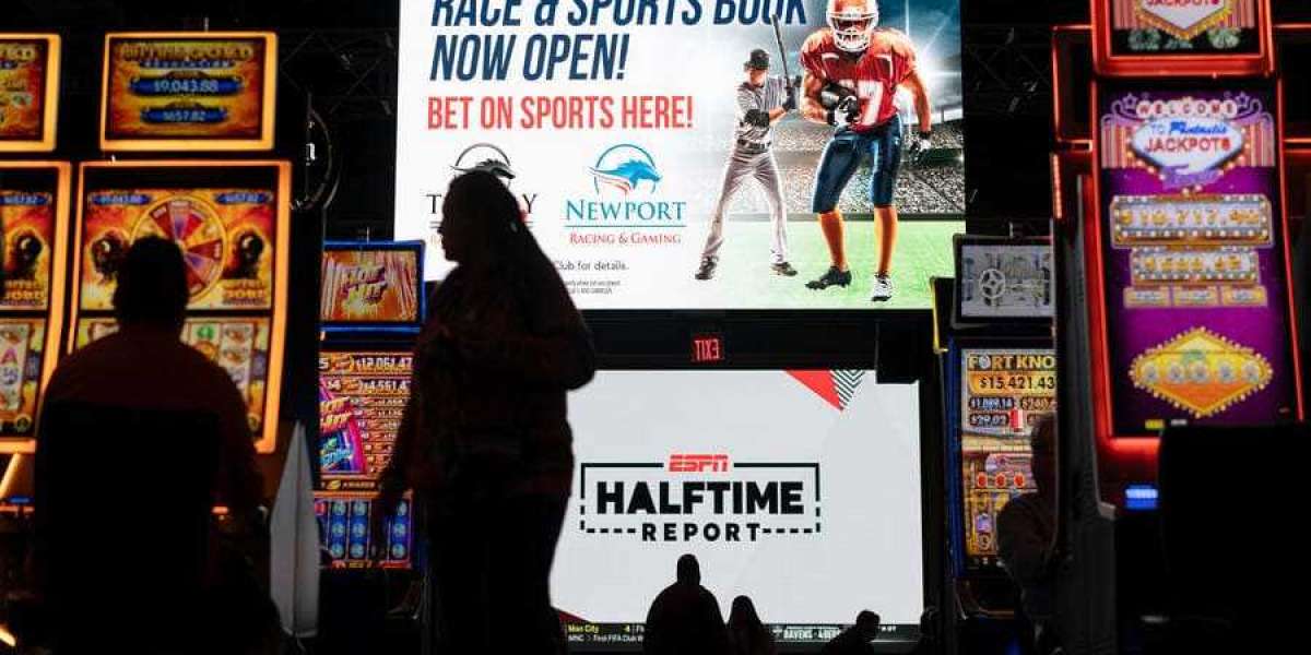 Taking Chances and Making Bank: The High-Stakes World of Sports Gambling